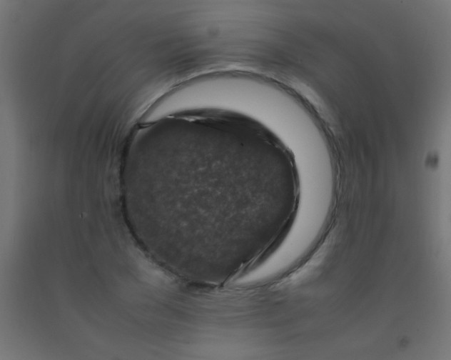 X0000092280977200709281242