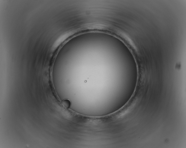 X0000092280978200709281242