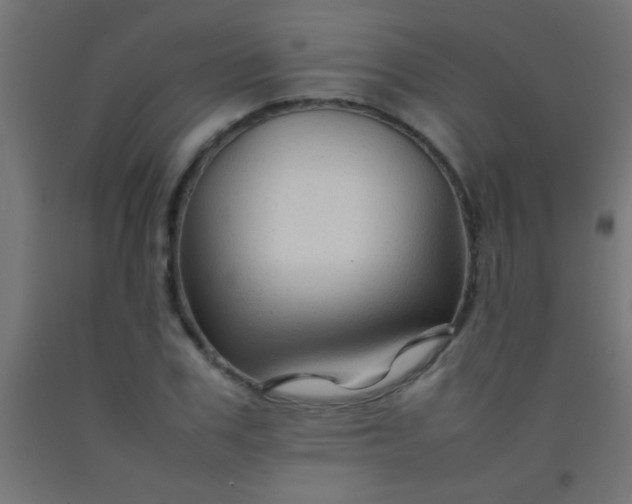 X0000092280979200709281242