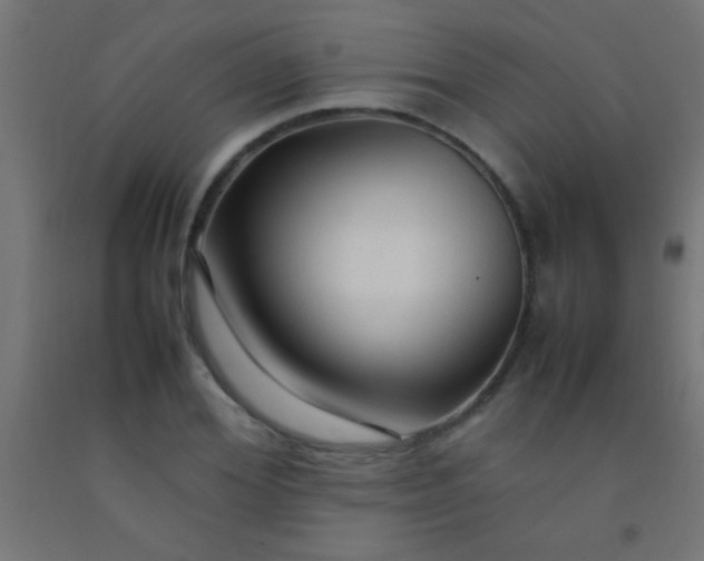 X0000092280980200709281242