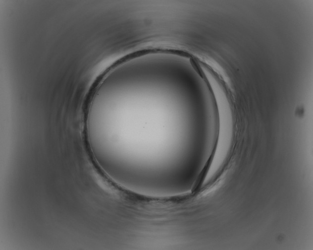 X0000092280981200709281242