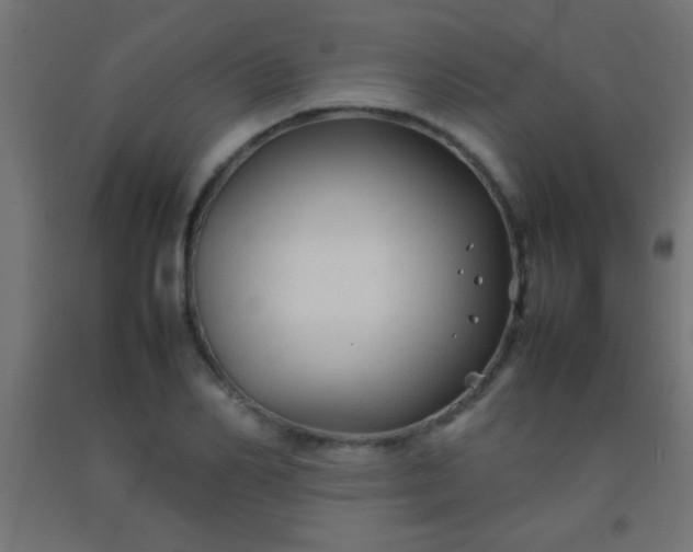 X0000092280982200709281242