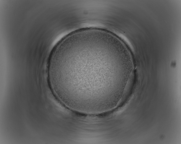 X0000092280983200709281242