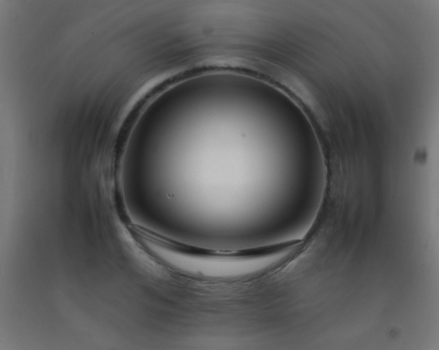 X0000092280984200709281242