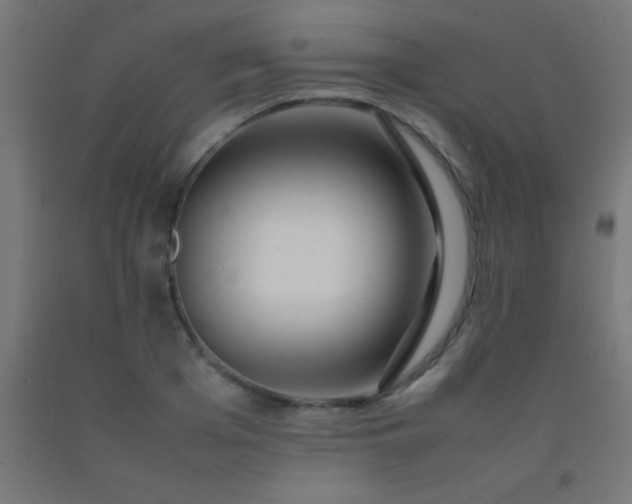 X0000092280985200709281242