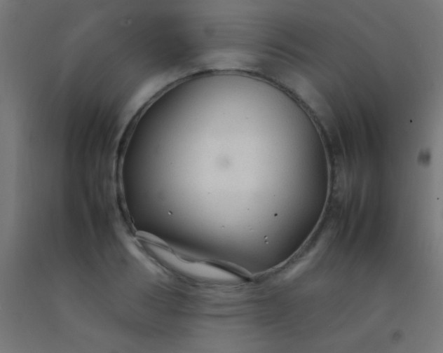 X0000092280986200709281242