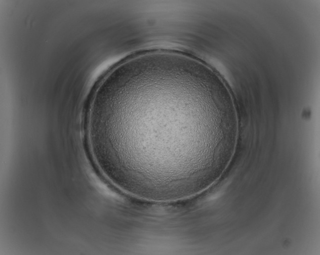 X0000092280987200709281242