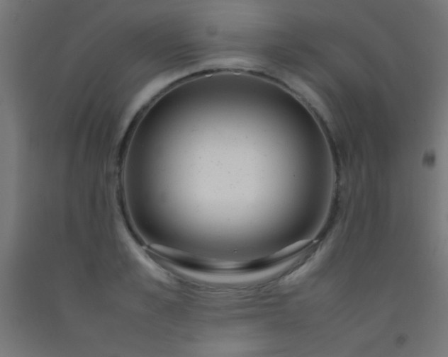 X0000092280989200709281242