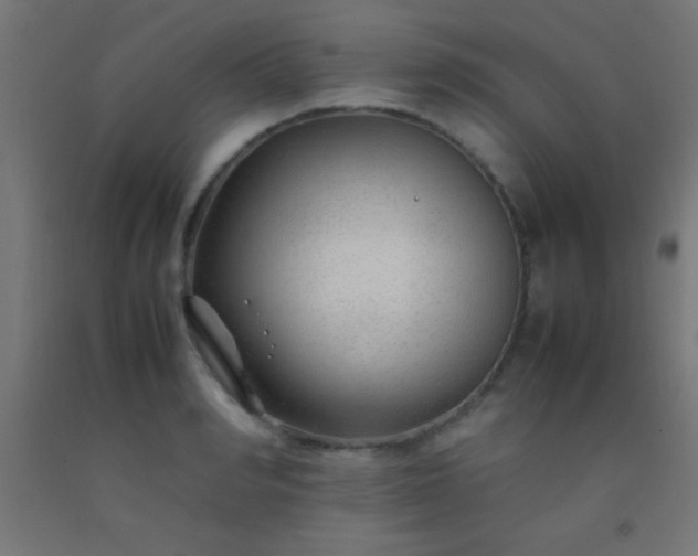 X0000092280990200709281242