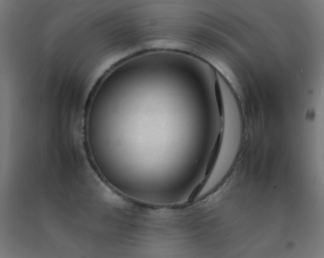 X0000092280992200709281242