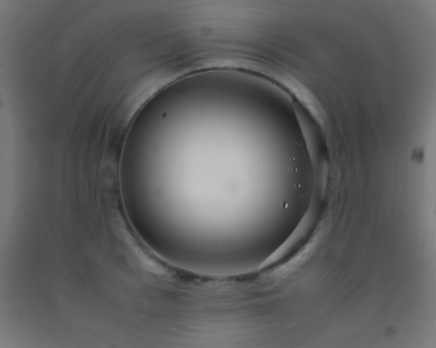 X0000092280993200709281242