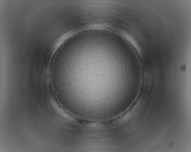 X0000092280994200709281242