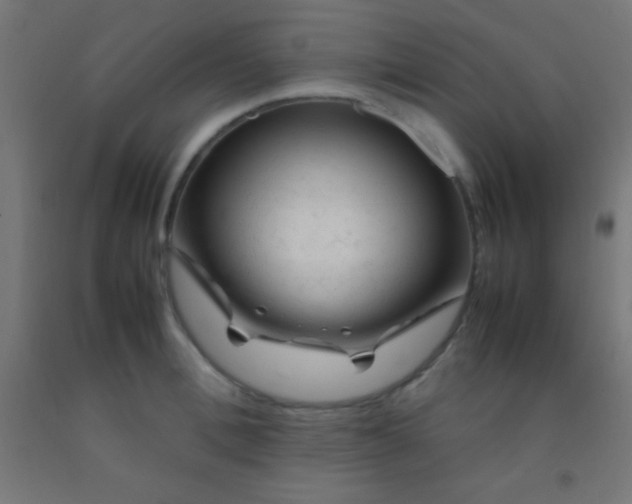 X0000092280996200709281242