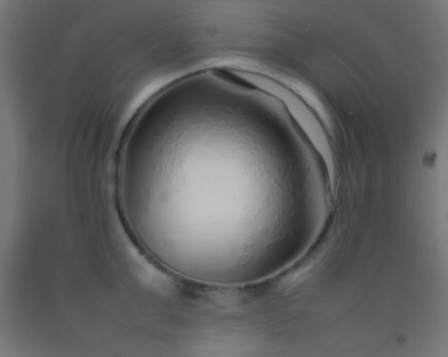 X0000092280999200709281242