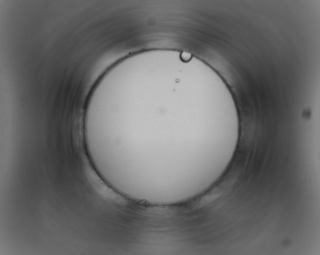 X0000092281000200709281242