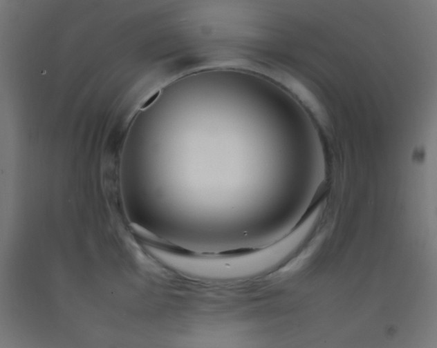 X0000092281001200709281242