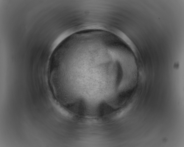 X0000092281002200709281242