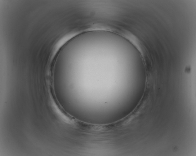 X0000092281003200709281242