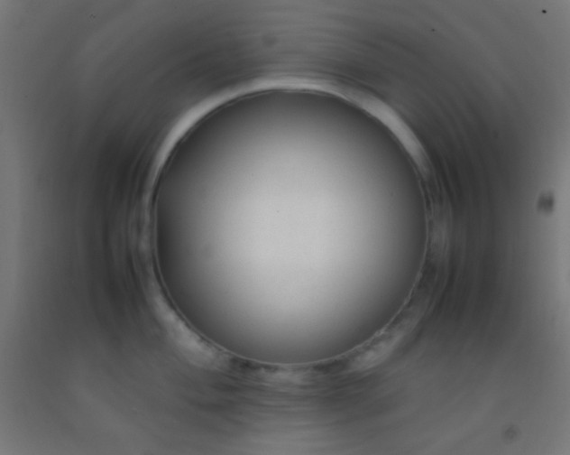 X0000092281004200709281242