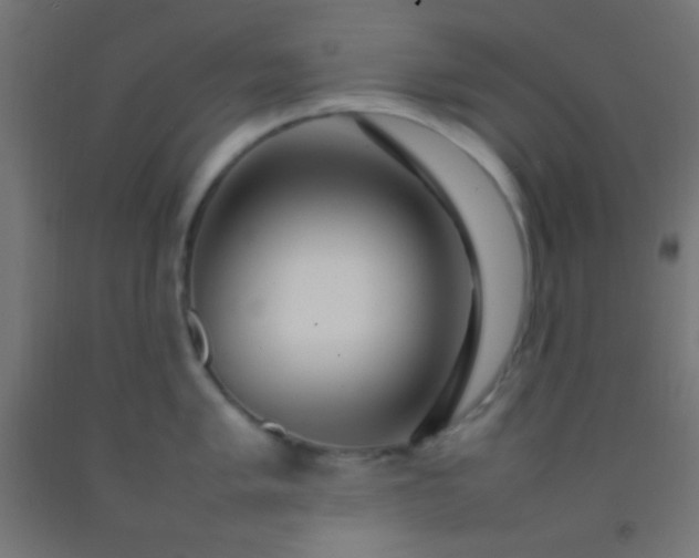 X0000092281005200709281241