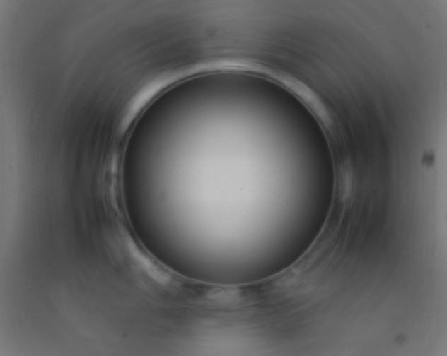 X0000092281006200709281241