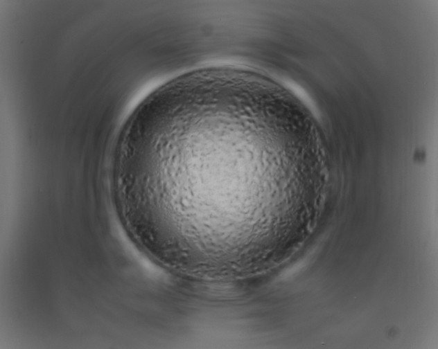 X0000092281007200709281241