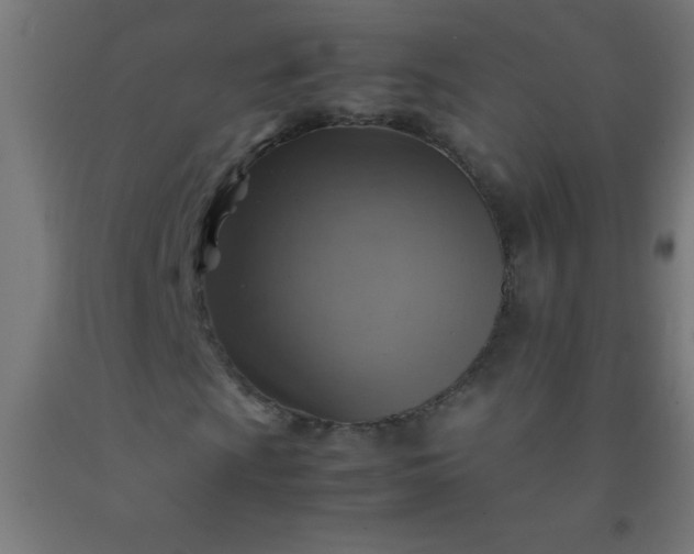 X0000092281009200709281241