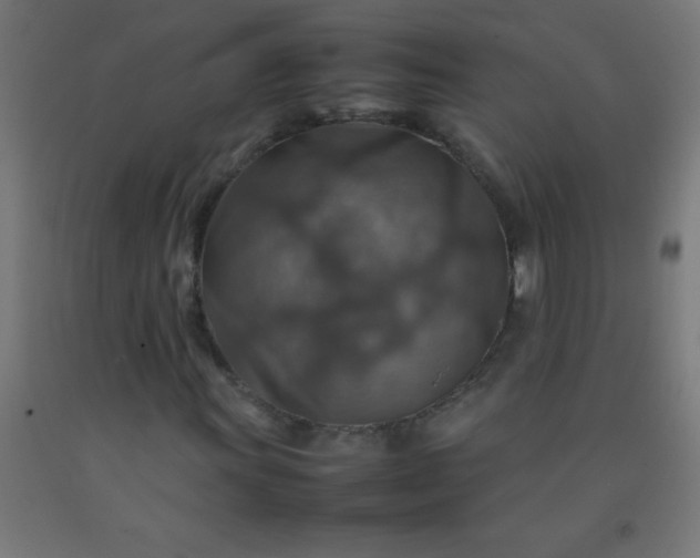 X0000092281011200709281241