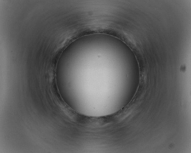 X0000092281012200709281241