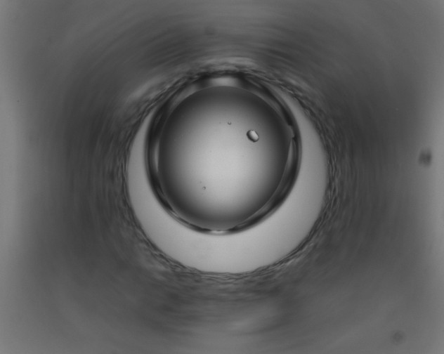 X0000092281014200709281241