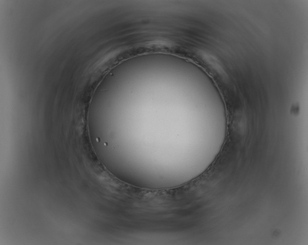 X0000092281015200709281241