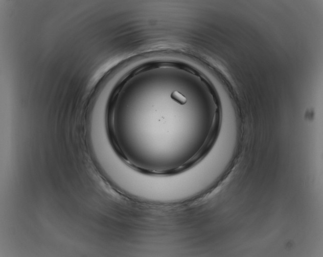 X0000092281018200709281241