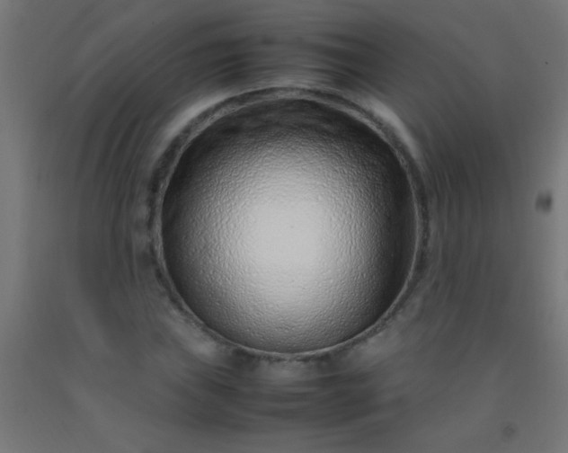 X0000092281019200709281241