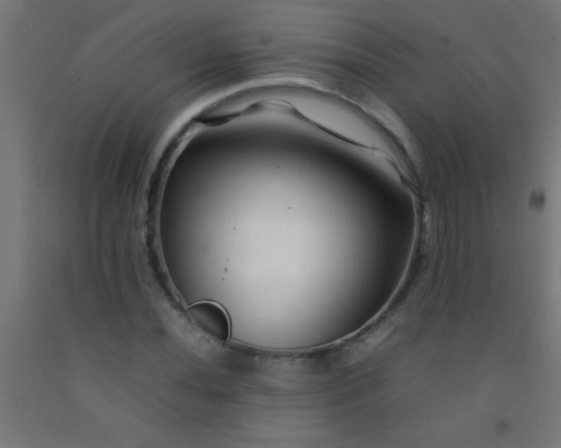 X0000092281020200709281241