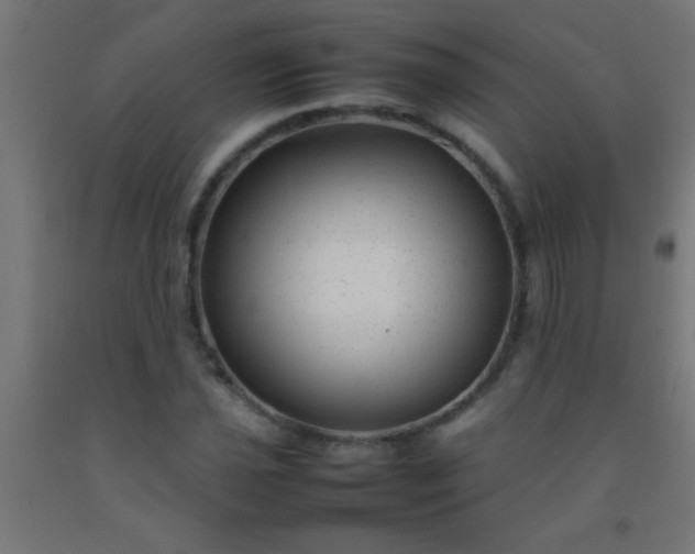 X0000092281021200709281241