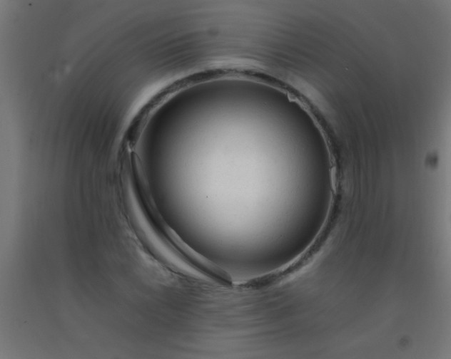 X0000092281022200709281241