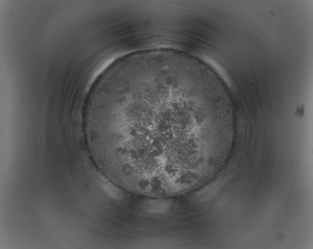 X0000092281023200709281241