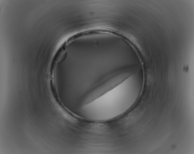 X0000092281024200709281241