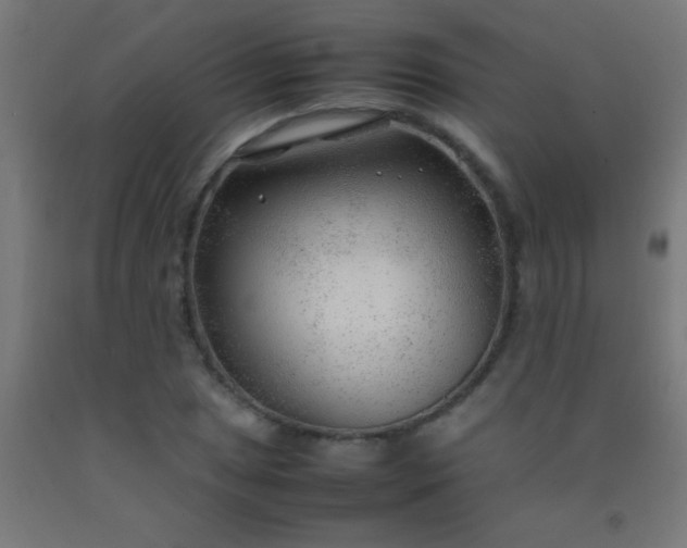 X0000092281025200709281241