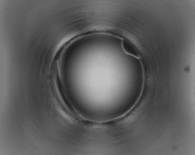 X0000092281026200709281241