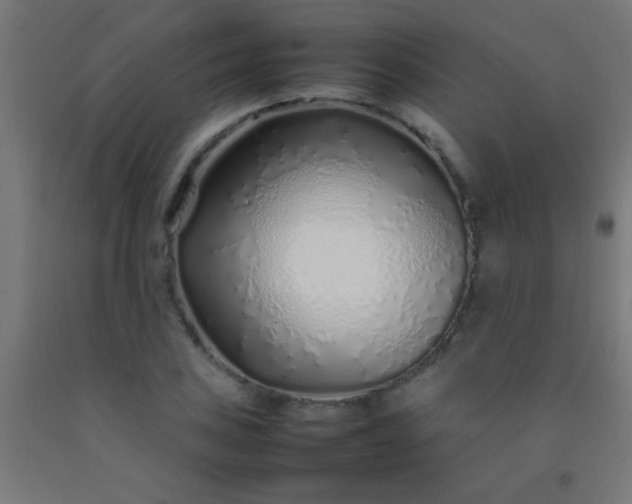 X0000092281027200709281241