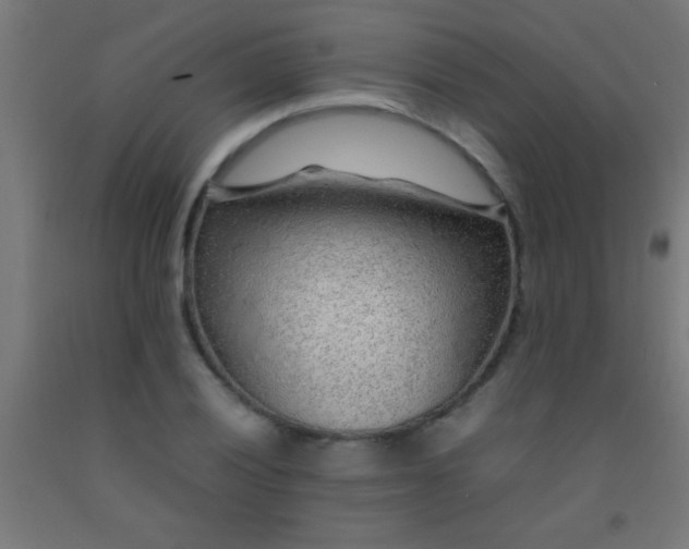 X0000092281028200709281241