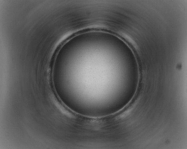 X0000092281029200709281241