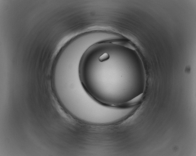 X0000092281030200709281241