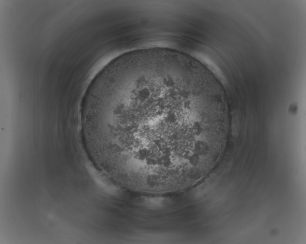 X0000092281031200709281241