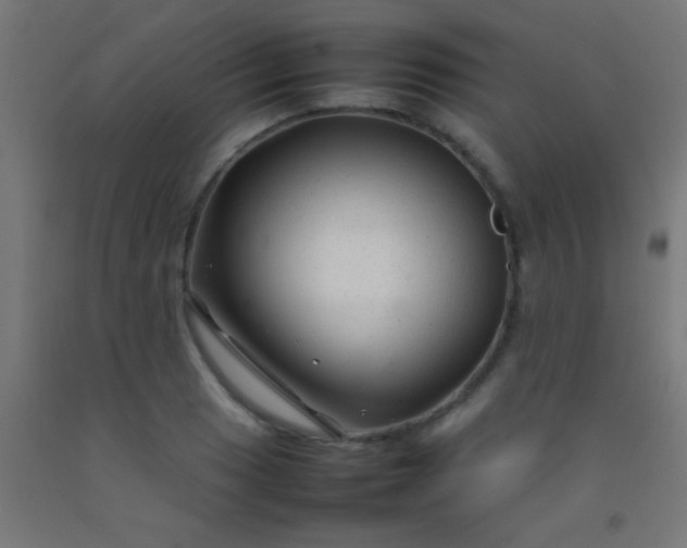 X0000092281033200709281241