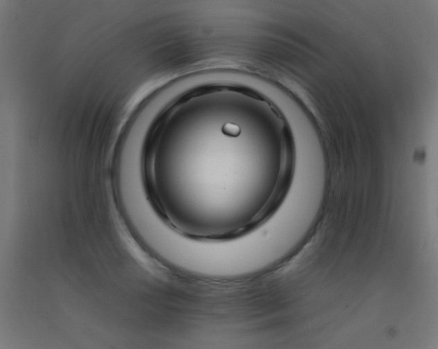 X0000092281034200709281241