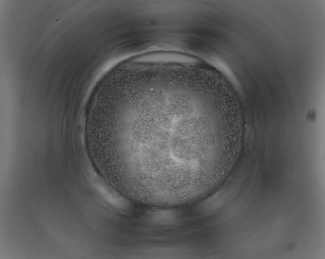 X0000092281035200709281241