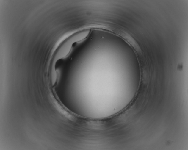 X0000092281036200709281241