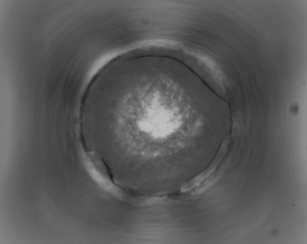 X0000092281038200709281241